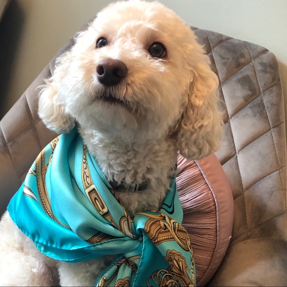 Cheryl Welcomes you to her closet! 💕 - Picture 2 of 8